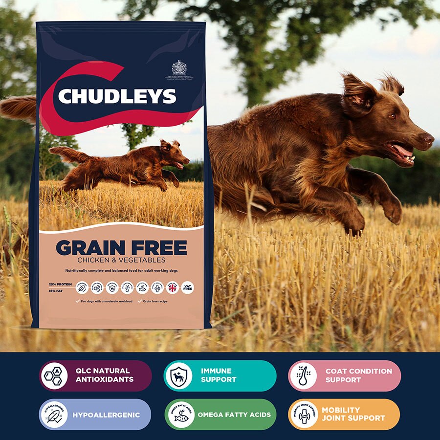 Chudleys hypoallergenic dog food sales
